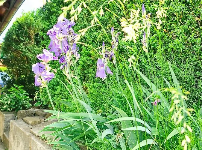 Kreuz - Aare Jungfrau Ag Apartamento Wilderswil