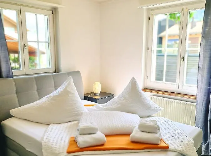 Kreuz - Aare Jungfrau Ag Wilderswil